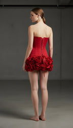 RED ROSA